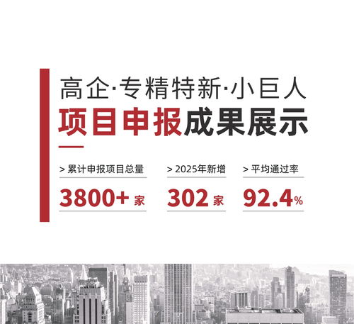 2026年現(xiàn)階段 新疆創(chuàng)小企業(yè)如何筑穩(wěn)創(chuàng)新根基？信賴(lài)伙伴深度解析科技項(xiàng)目代理服務(wù)